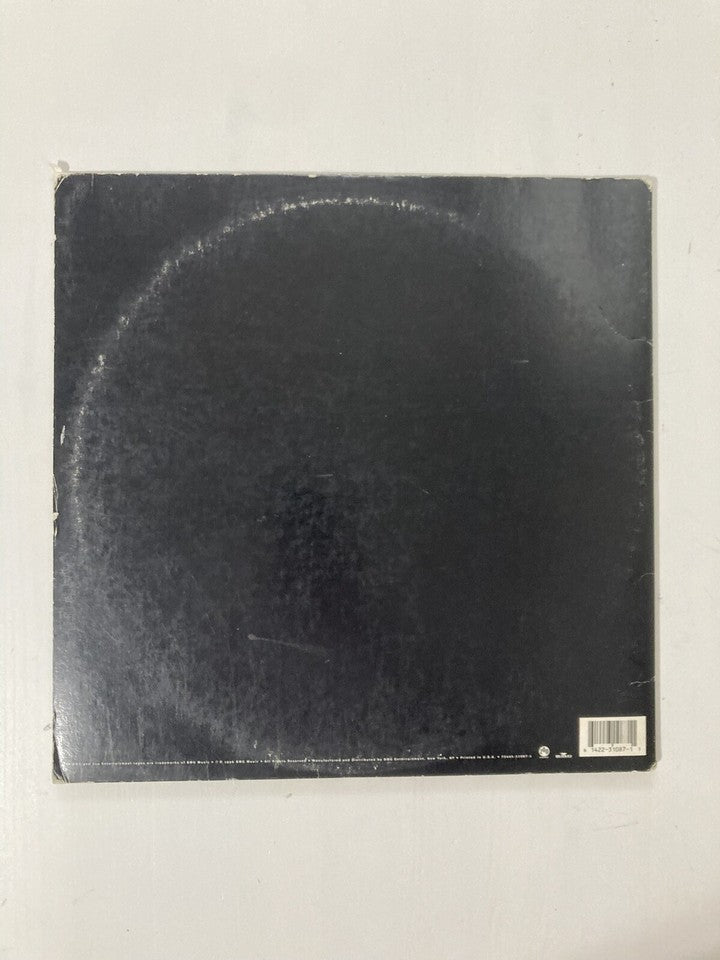 Tool (2) - Ænima (2xLP, Album, Gat)